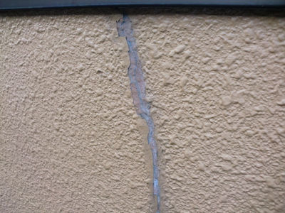 CIMG9493.JPG