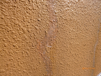 P1010945.JPG