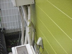 kanagawaku-siding002
