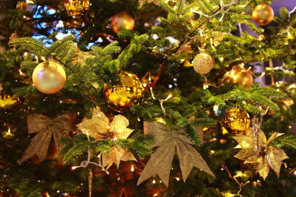 メリークリスマス!