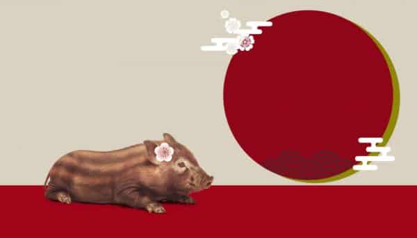 本格始動です。
